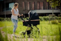 Ding Fenix Black/Rose Kinderwagen DI-191702 33 Ding Fenix Black/Rose Kinderwagen DI-191702 -Babyproducten Winkel ding fenix rose kinderwagen