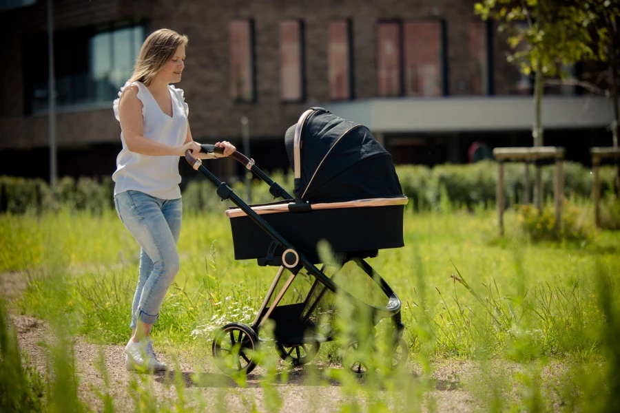 Ding Fenix Black/Rose Kinderwagen DI-191702 16 Ding Fenix Black/Rose Kinderwagen DI-191702 - Afbeelding 16